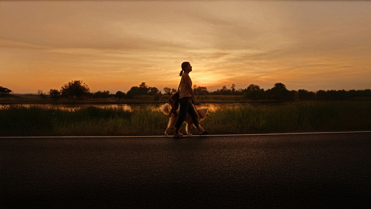 A woman walking Gohan along a road at sunset